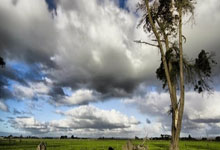 哪里能看曼城vs布莱顿的视频直播？这场比赛有哪些看点？