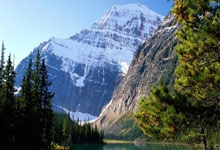 雨燕直播app怎么下载？安全下载及使用指南全解析